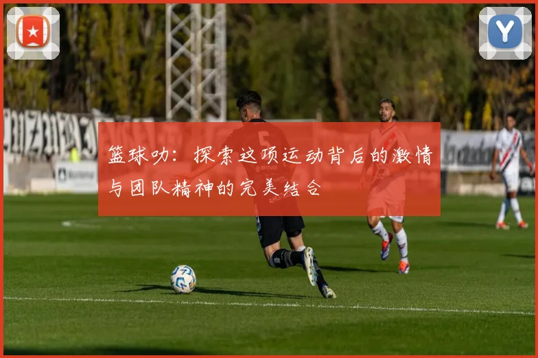 篮球叻：探索这项运动背后的激情与团队精神的完美结合