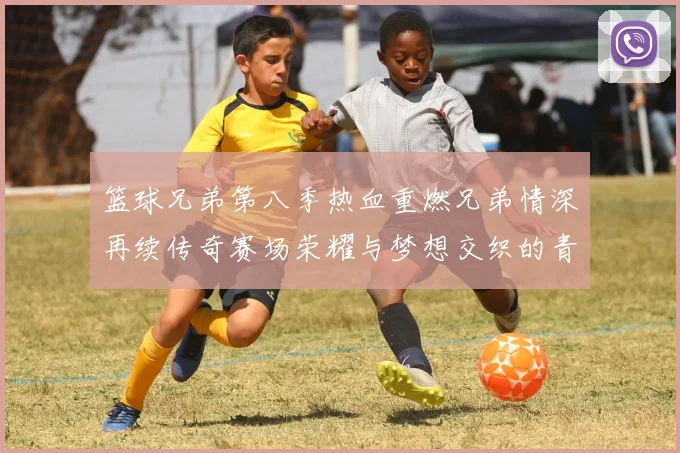 篮球兄弟第八季热血重燃兄弟情深再续传奇赛场荣耀与梦想交织的青春故事