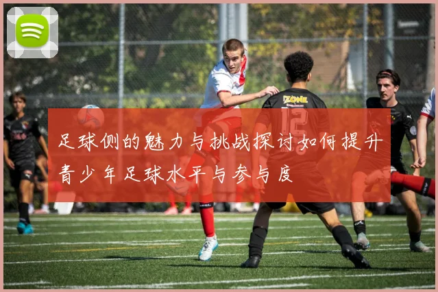 足球侧的魅力与挑战探讨如何提升青少年足球水平与参与度